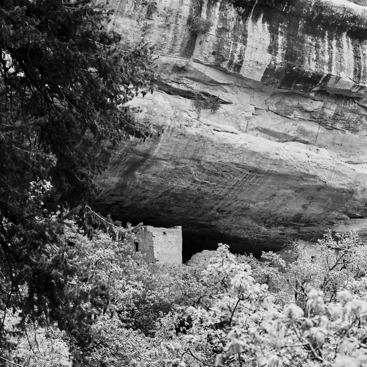 Mesa Verde