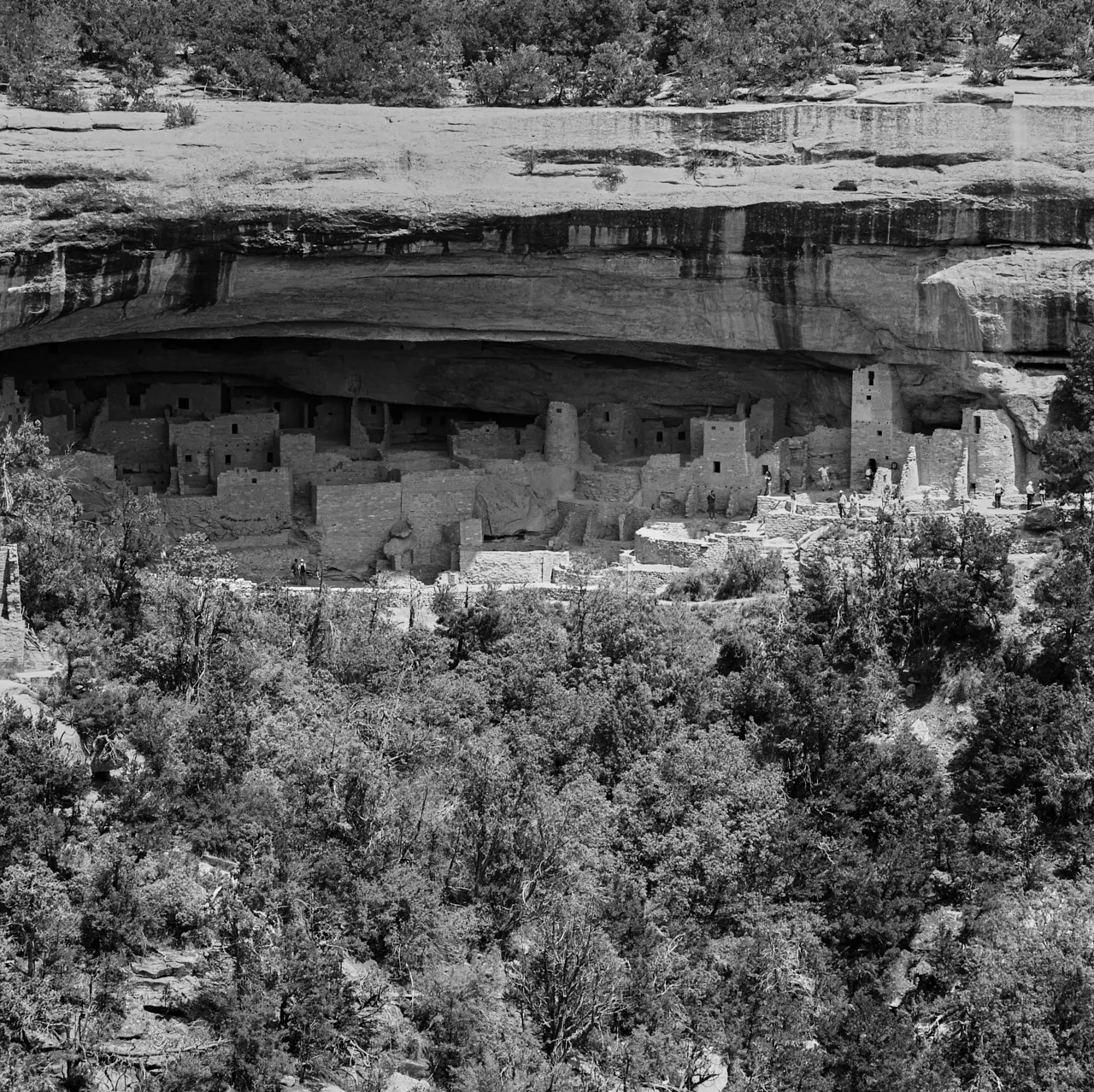Mesa Verde