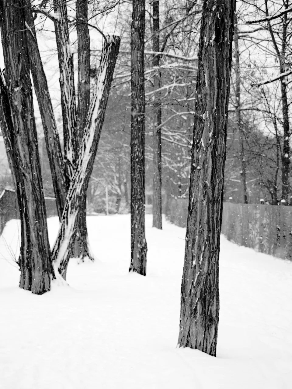 Winter in Berlin