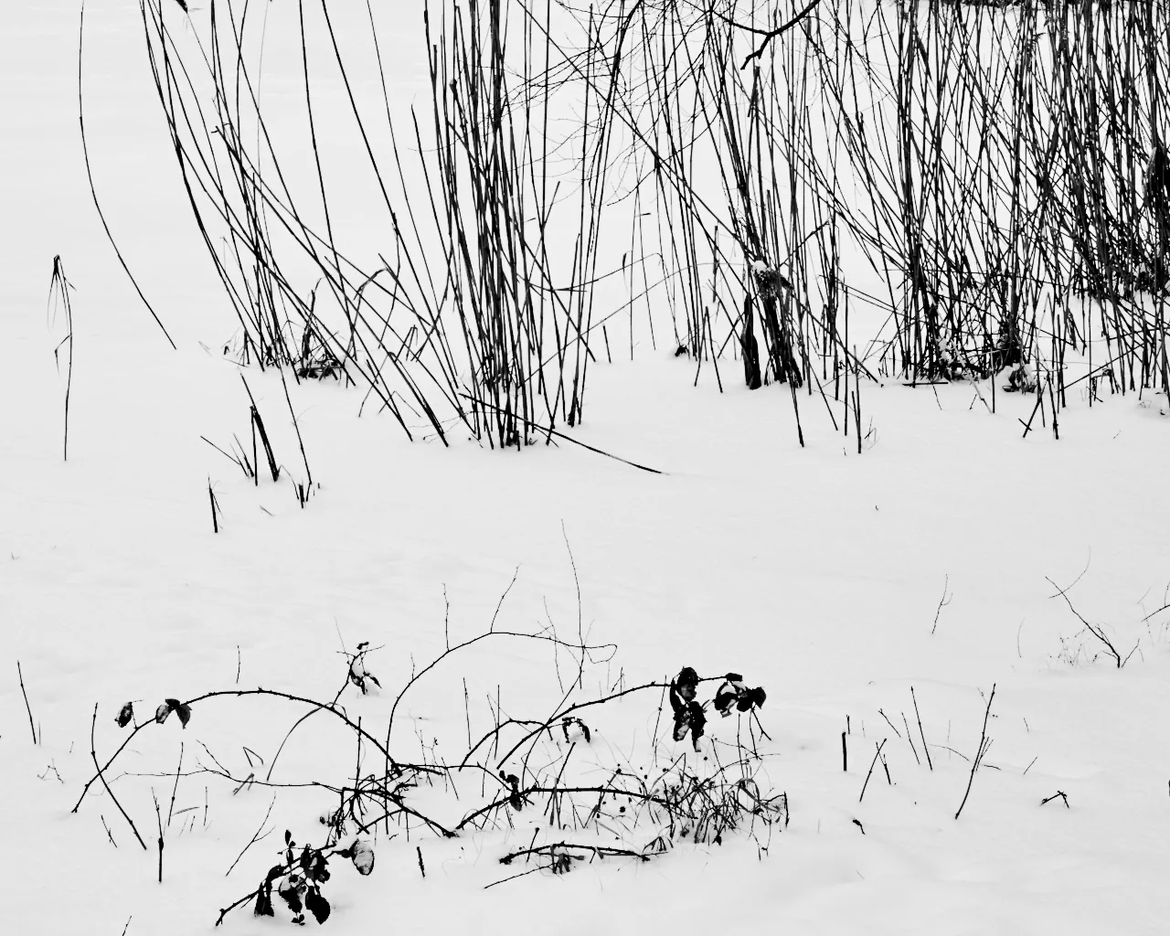 Winter in Berlin