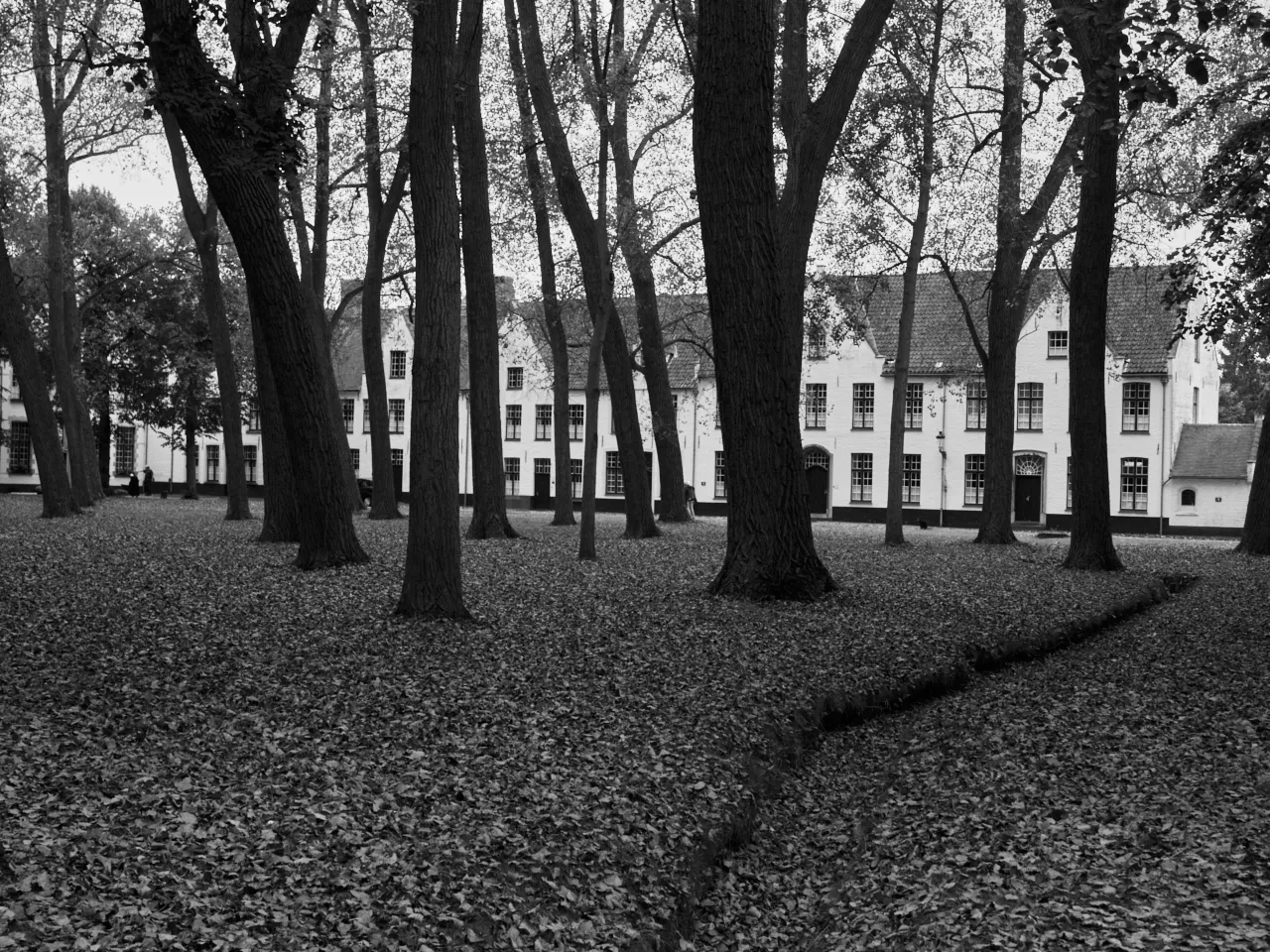 Bruges, Bejinghof