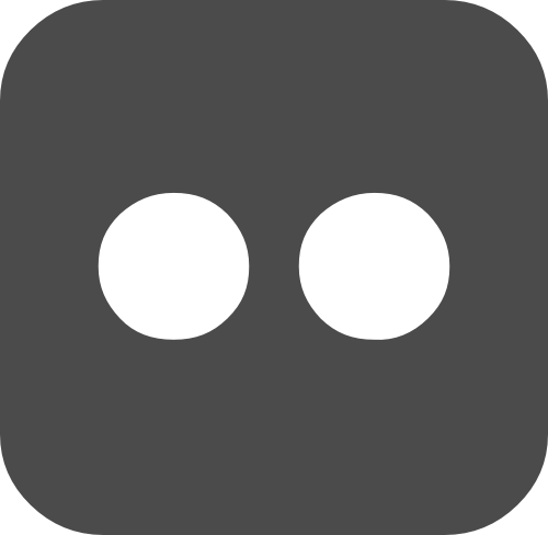 Flickr Icon
