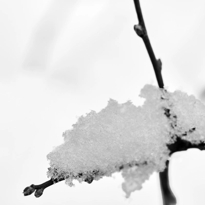 Winter in Berlin